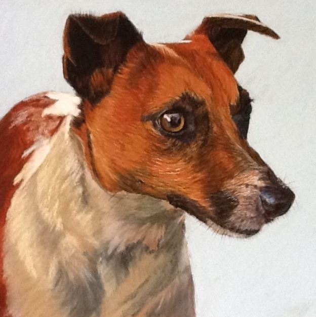 Jack Russell