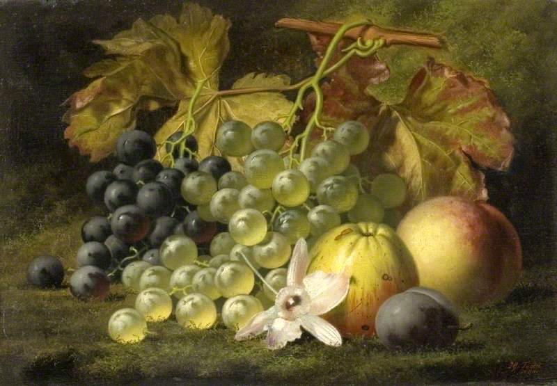 Still Life with Fruit