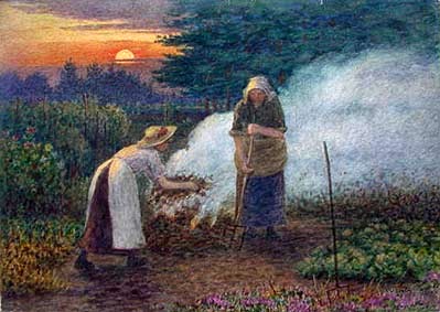 The Sunset Gardeners