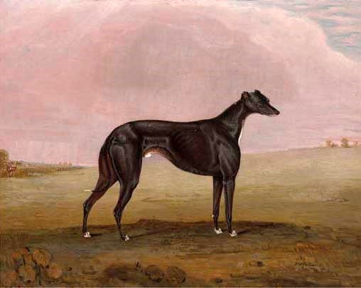 Mariner, winner of the Swaffham Cup, 1834