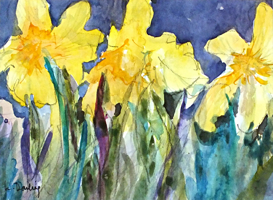 Daffodils