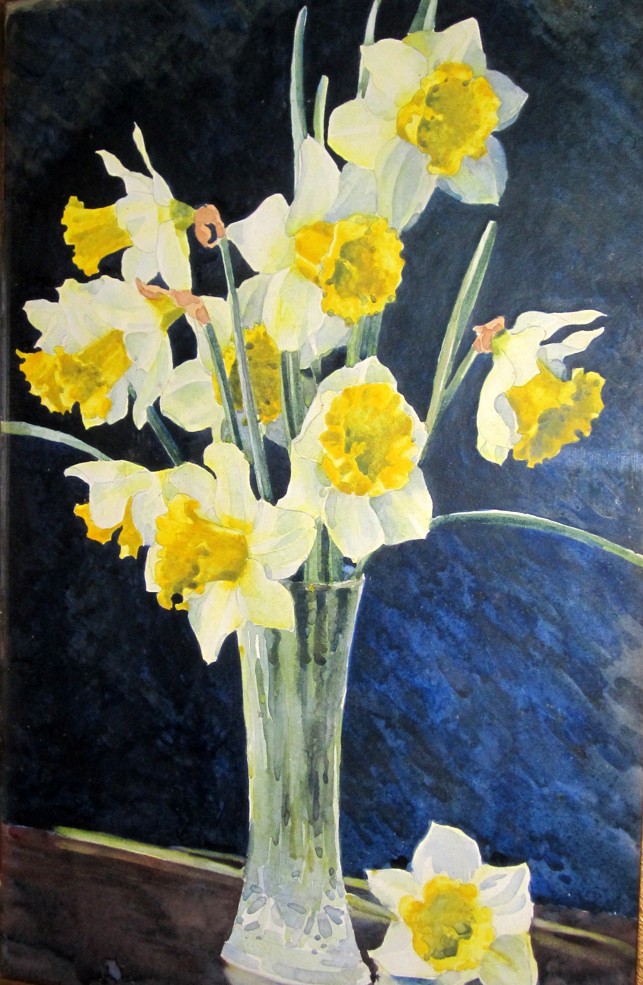 Daffodils