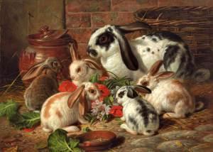 A Family of Rabbits
