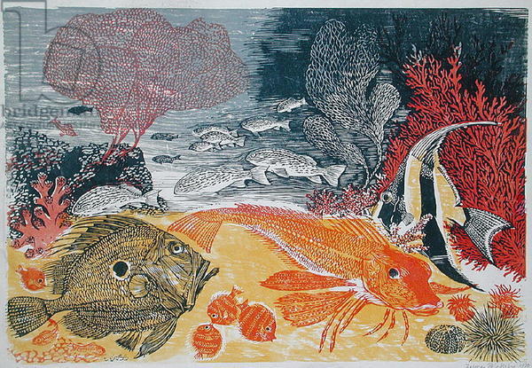 Fish and Coral