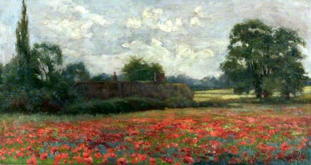 Thatched Cottage and Poppy Field