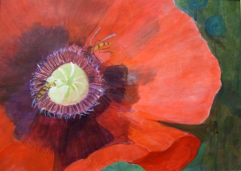 Poppy Feast