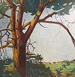 Tree in Landscape