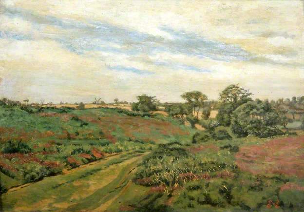 Westleton Common, Suffolk