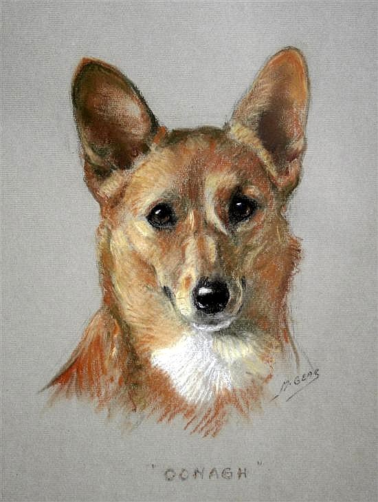 Portrait of a corgi 'Oonagh'