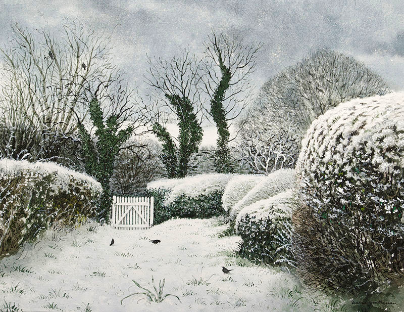 Suffolk Garden under Snow