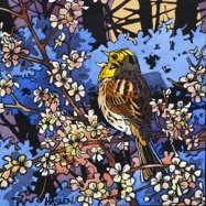 Singing Yellowhammer