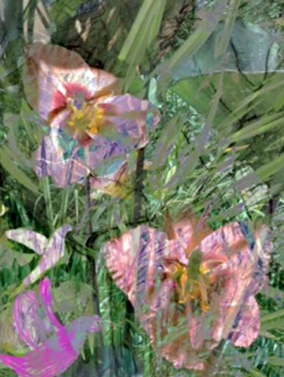 Hummingbird and Lilies III