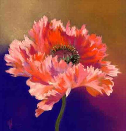 Oriental Poppy on Gold