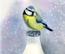 Blue Tit on a Milk Bottle-Little Thief