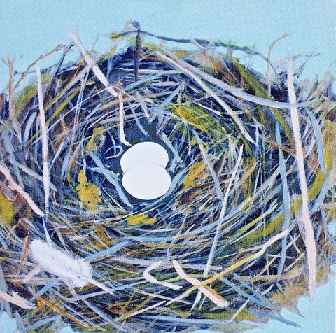 Nest