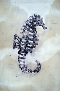 Sea Horse 2