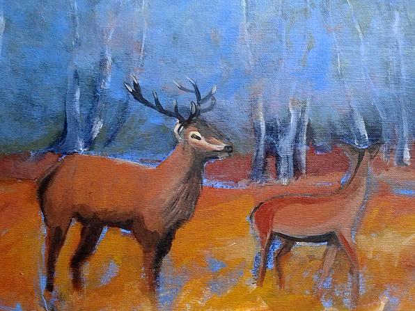 Minsmere Deer