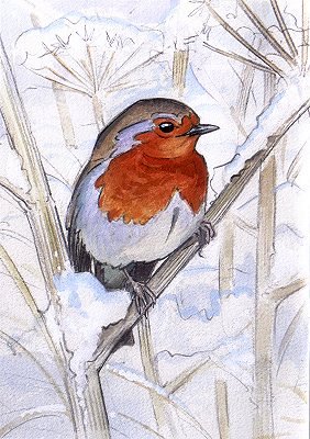 Winter Robin