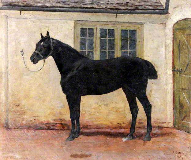 A Black Gelding in a Stableyard