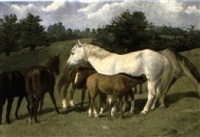 Mares and Foals