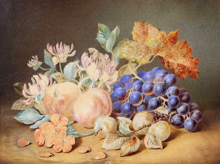 A Still Life of Fruit