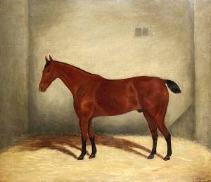 A Bay Horse in a Stable