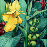 Yellow Cannas 2