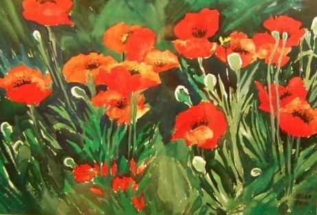 Oriental Poppies