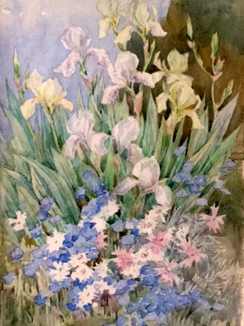 Spring Flowers