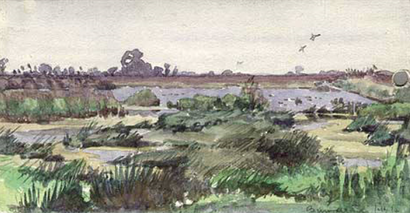 Burwell Fen