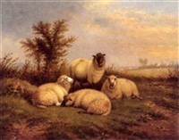 Sheep Grazing