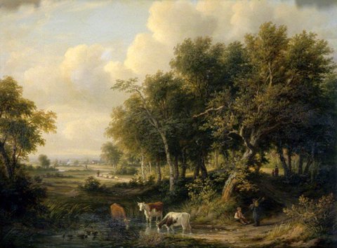 Landscape