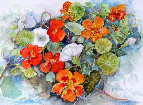 Nasturtiums