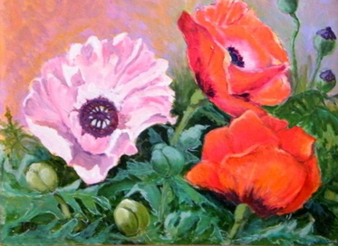 Garden Poppies