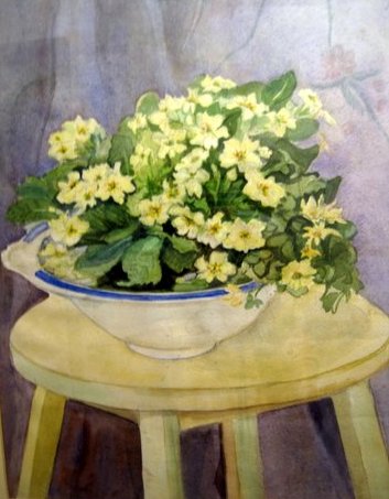 Primroses