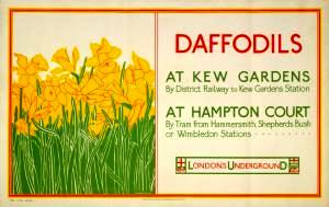 Daffodils at Kew Gardens