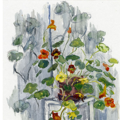 Nasturtiums