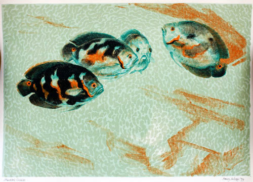 Marbled Cichlids