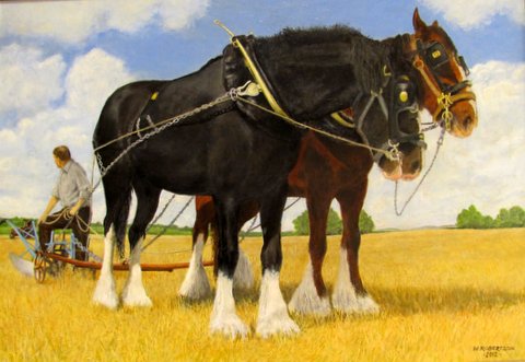 Ploughing Match