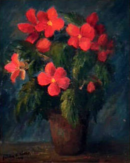 Begonias