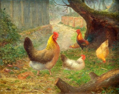 Chickens in a Yard
