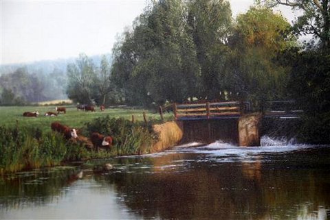 River Chelmer, Essex