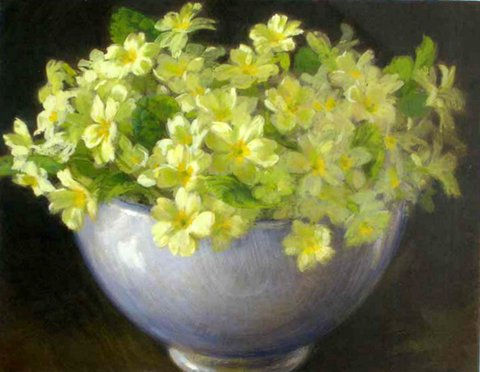 Primroses