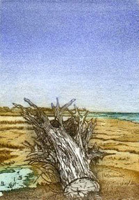 Erosion, Benacre