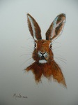 March Hare