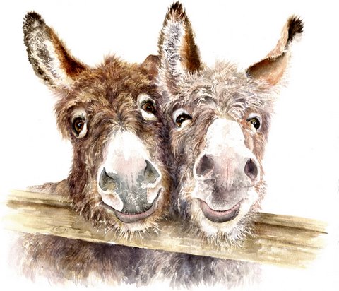 Pair of Donkeys