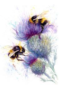 Bees on a Thistle