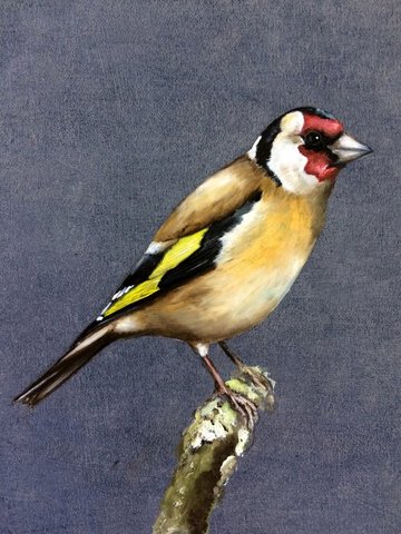 Goldfinch