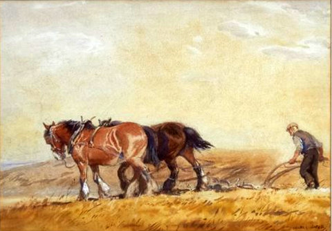 The Ploughman