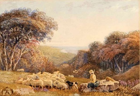 Shepherd and his Flock